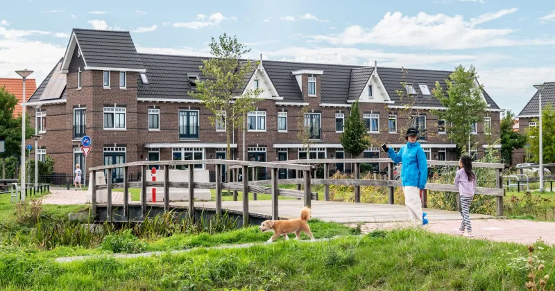 Decoratieve afbeelding. Fotograaf Alex Schröder