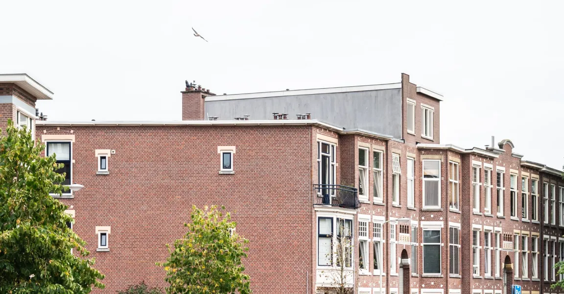 Decoratieve afbeelding. Fotograaf Alex Schröder