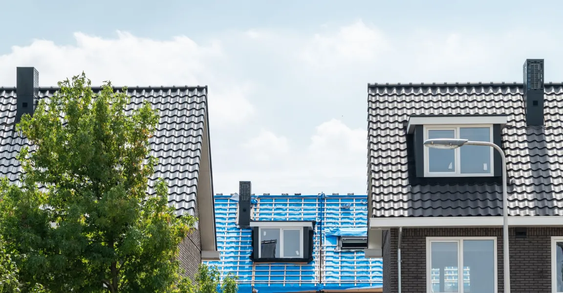 Decoratieve afbeelding. Fotograaf Alex Schröder